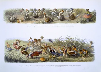 Illustration für 